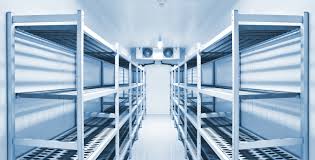 Preserving Freshness: The Critical Role of Chilled Storage in Saudi Arabia