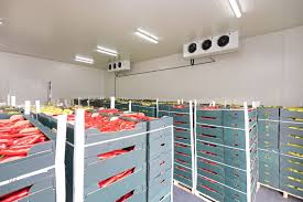 Preserve Freshness with Professional Cold Chain Infrastructure